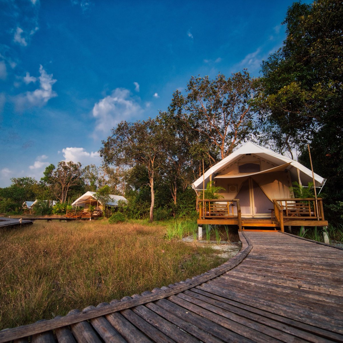 The Long Run tweet media