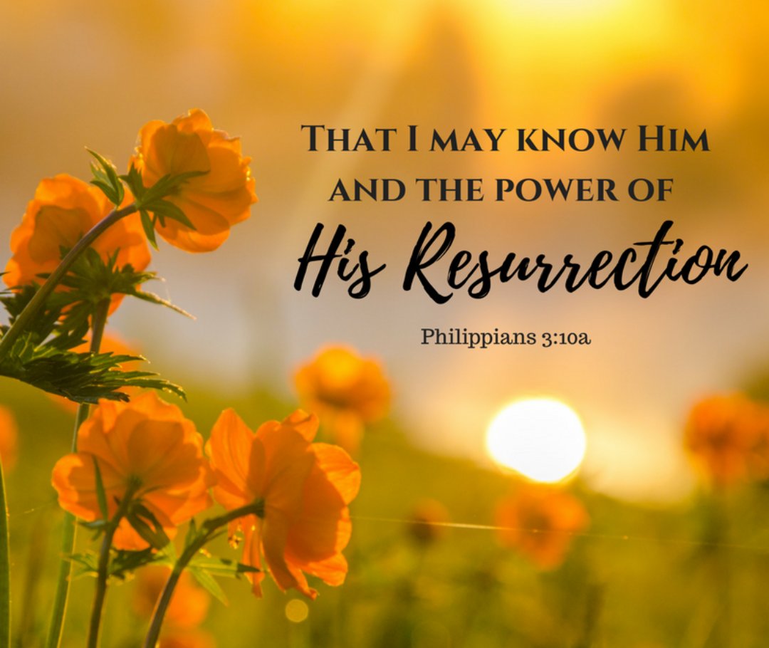 MrsCook91's tweet image. 