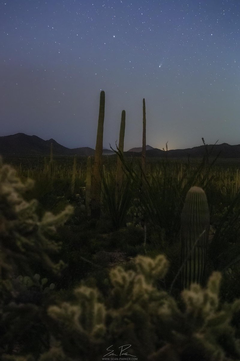 seanparkerphoto's tweet image. Another shot of Comet 12P/Pons-Brooks this evening! Not my best edit / attempt but it was still fun and challenging to capture! #comet #devilscomet #astrophotography #tucson