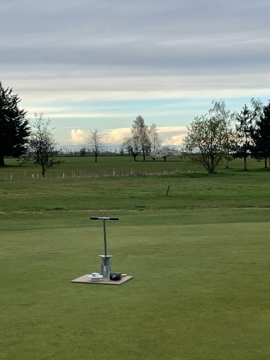 davidhurst tweet media