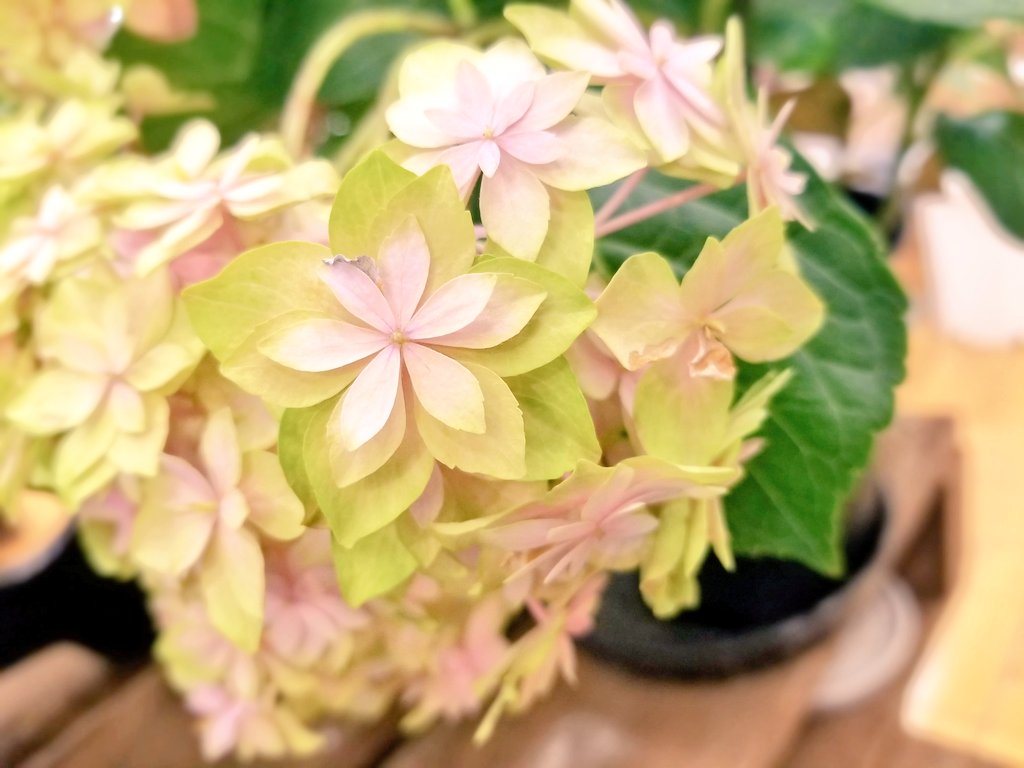 ∞

     ある日…突然の
     出来事だってある

     一人で抱えるには
     重すぎる事だってある

     弱くたっていい
     泣いたっていい

     たとえ僅かでも
     望みがあるのなら ｡｡｡

∞                          .* 𓂃𓈒𓏸︎︎︎︎⁡ ͛.* 𓂃𓈒𓏸︎︎︎︎⁡ ͛.* 𓂃𓈒𓏸︎︎︎︎⁡