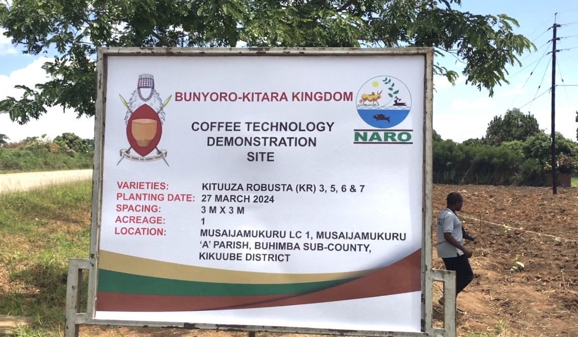 We’re very grateful to NARO for the technical expertise & material support, said Owek. Andrew Byakutaaga the Prime Minister of ⁦@Bunyoro_Kitara⁩ while presiding over the launch of a coffee demonstration site yesterday in Kikuube. ⁦@narouganda⁩ 📸⁦@bob_abor⁩