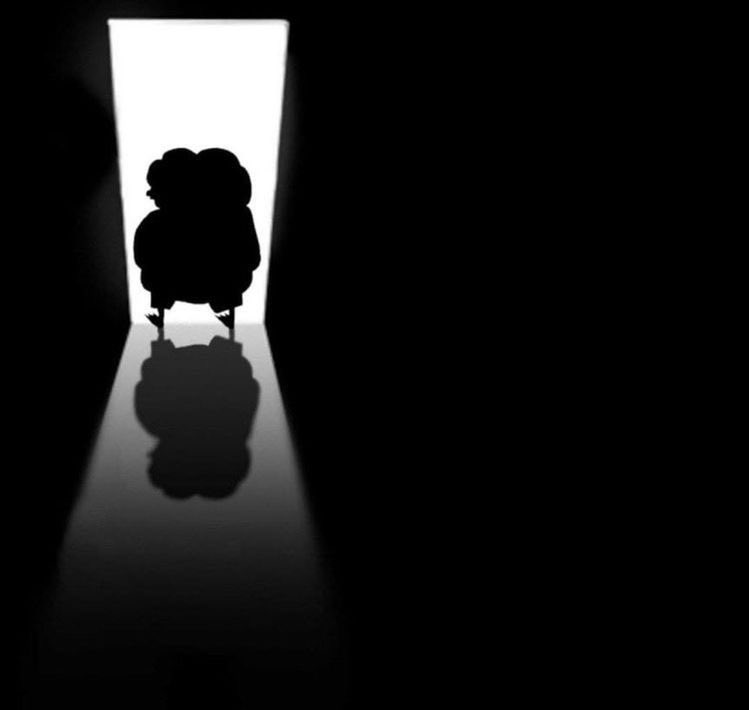 Pump days are coming 🐸👀
$pepe