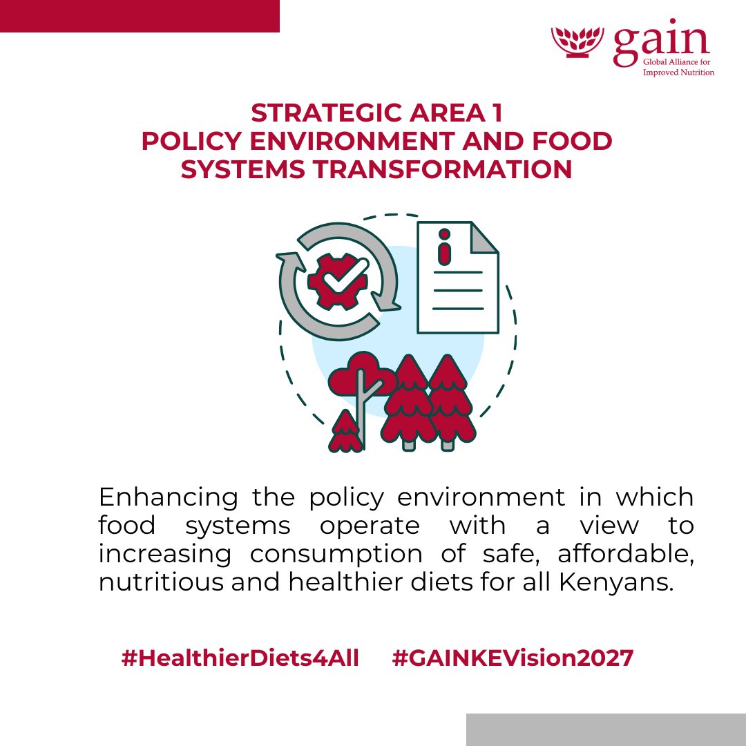 We will continue investing in increasing our influence within food systems to strengthen the enabling environment for actions that improve the consumption of #HealthierDiets4All through our programmes, networks and coalitions. #GAINKEVision2027