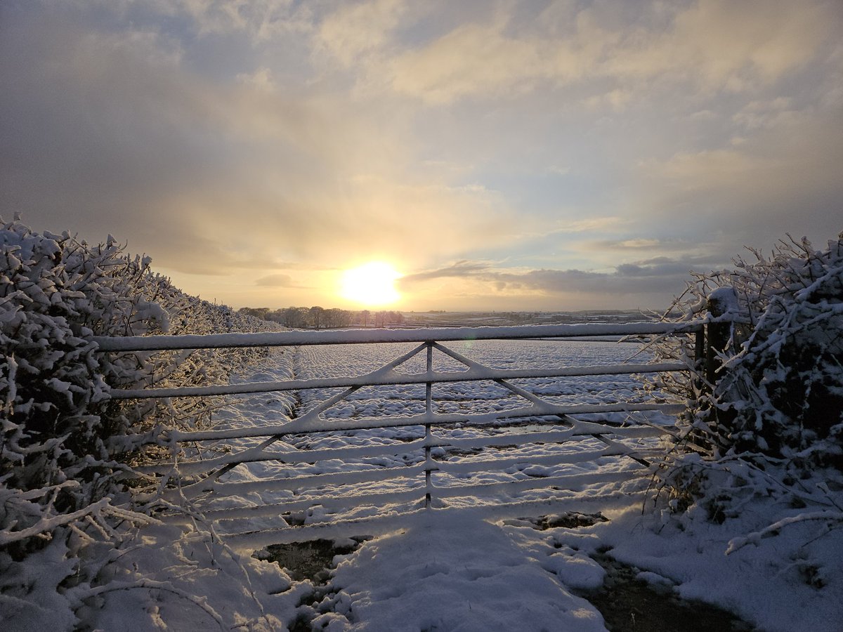 Thank god for social media, otherwise how would I know it had snowed last night 🤣 here's my contribution, a wintry sunrise.