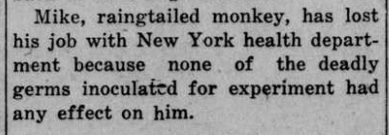 Zignack's tweet image. Newport Daily Independent, Feb, 1918;

Some scientists used isolated and purified germs in their experiments and other used the culture incl the poisonous byproduct of decaying rotten tissue.

When the experiments didn't fit the germ-theory they fired the "lab-rats" 🤡