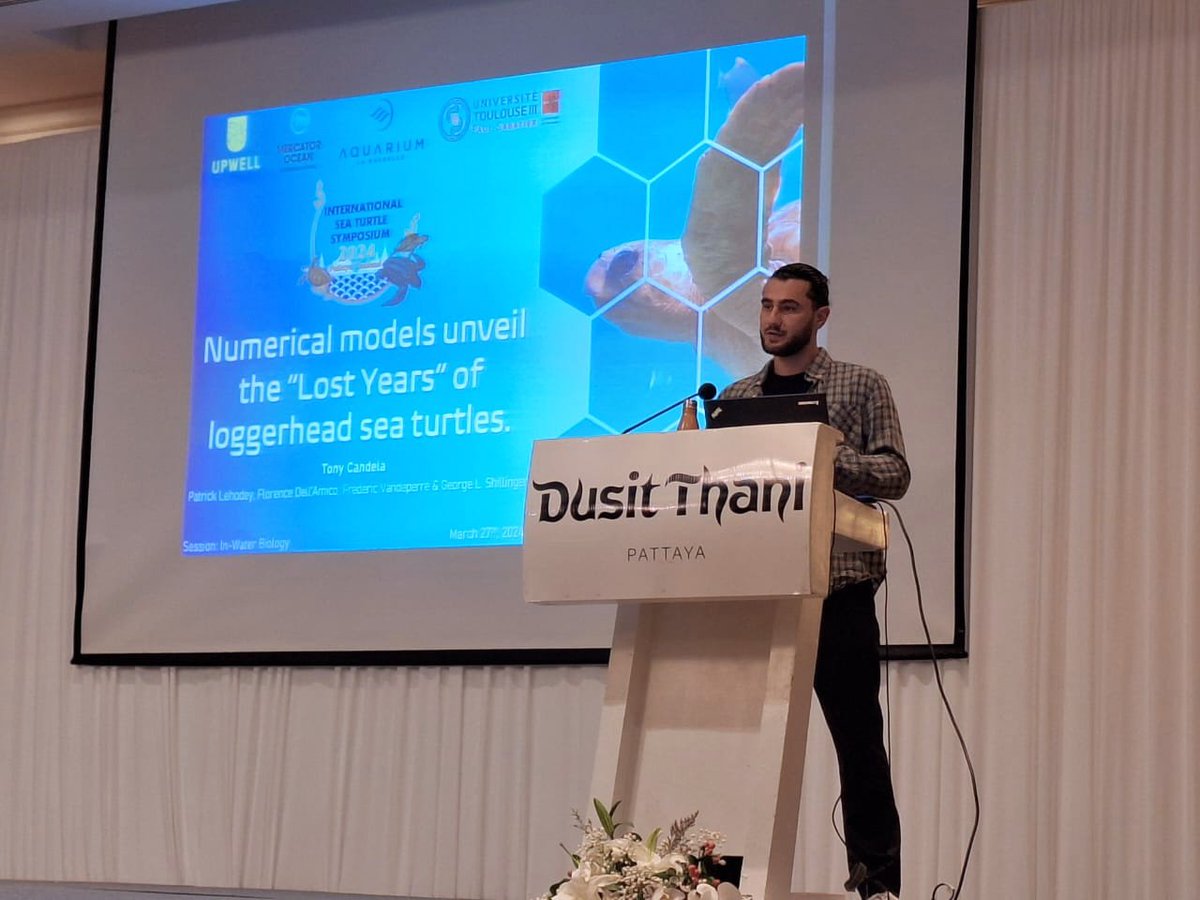 Great opportunity to present my preliminary findings on modeling the initial dispersal of loggerheads in the #NorthAtlantic at #ISTS42_Pattaya in Thailand and to receive so much helpful comments from the whole #seaturtle community.🐢 @UpwellTurtles @MercatorOcean @aqualarochelle