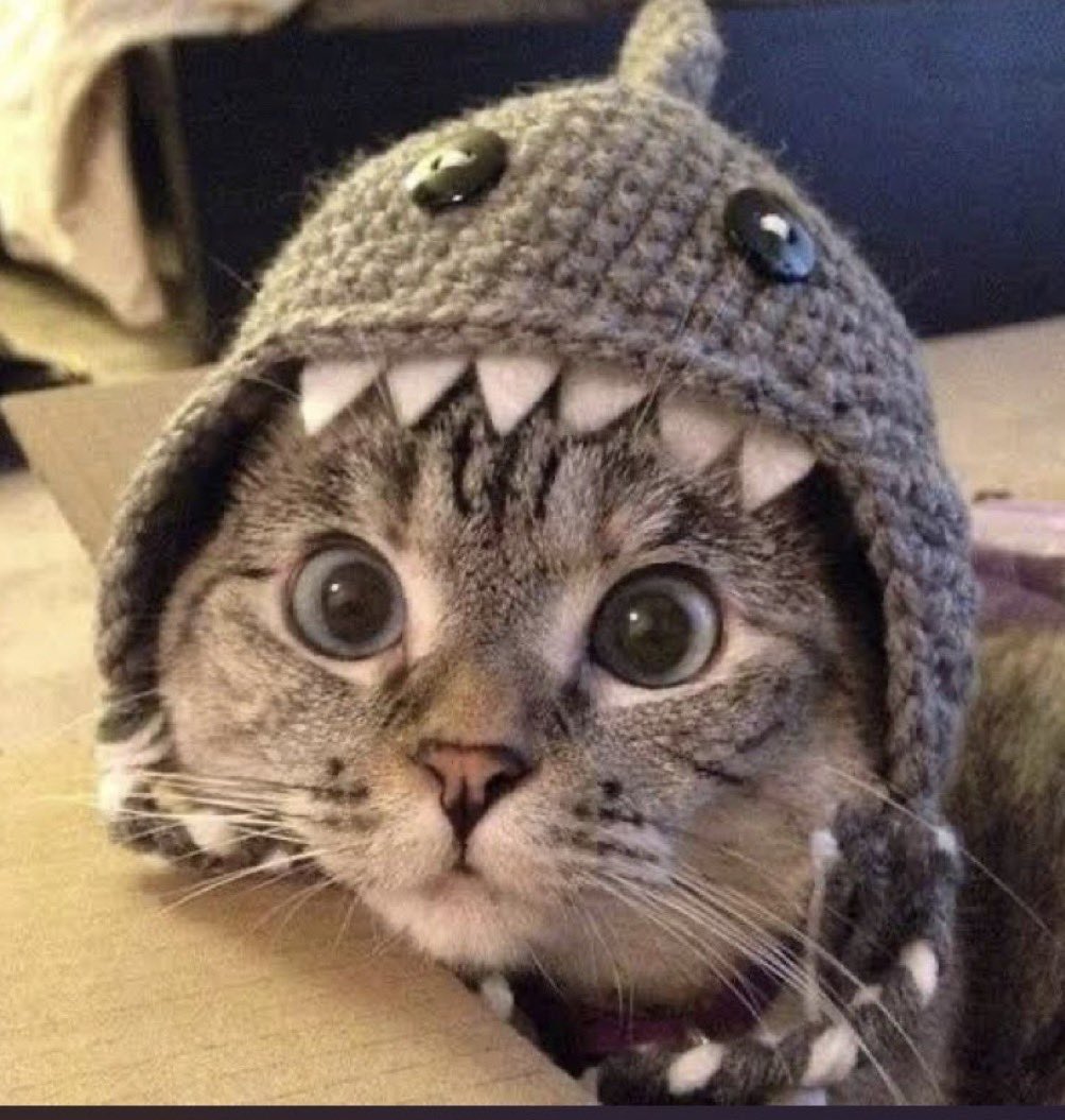 <a href="/blknoiz06/">Ansem</a> You already know which one $SC

dextools.io/app/en/solana/…