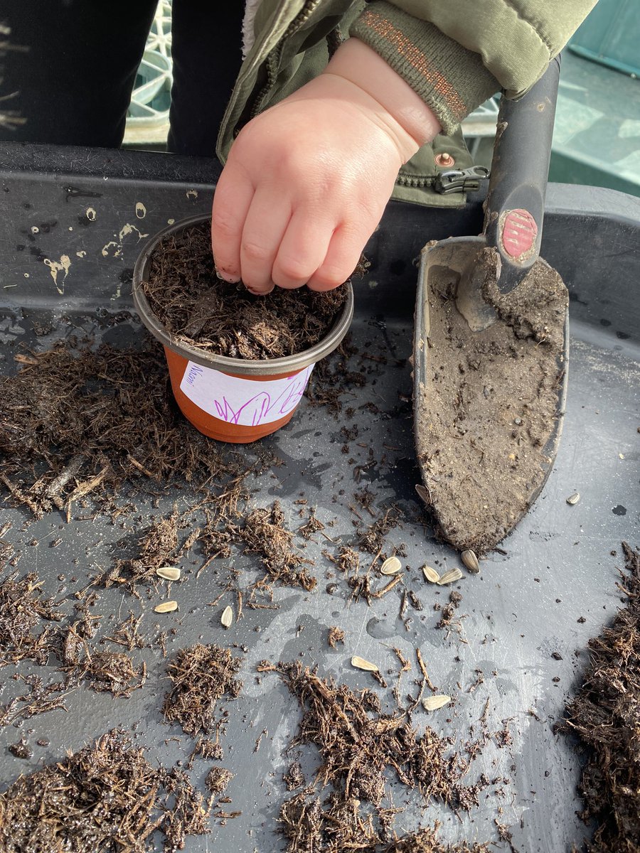 🌻 Easter Take-home task 🌻 Nursery children planted sunflower seeds and will take them home to watch them grow.. they’ve also been given a notebook to record their plant’s progress &amp; some playdoh &amp; seeds to keep their hands busy!🌻#EYFS #Nurseryclass #sunflowers
