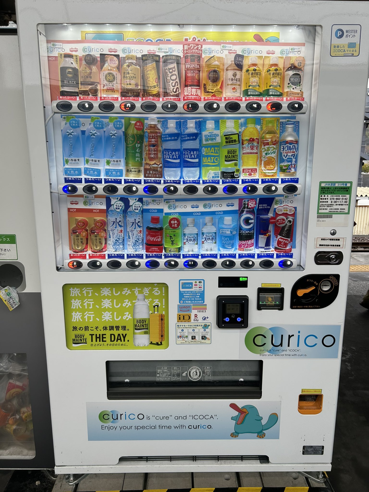 水系 ぷにぷに スクイーズ まとめ売り 雪見あざらし 水風船 ゼリー 水系スクイーズかと思いきや中身は〇〇！？アイピーフォー🎈ぽ