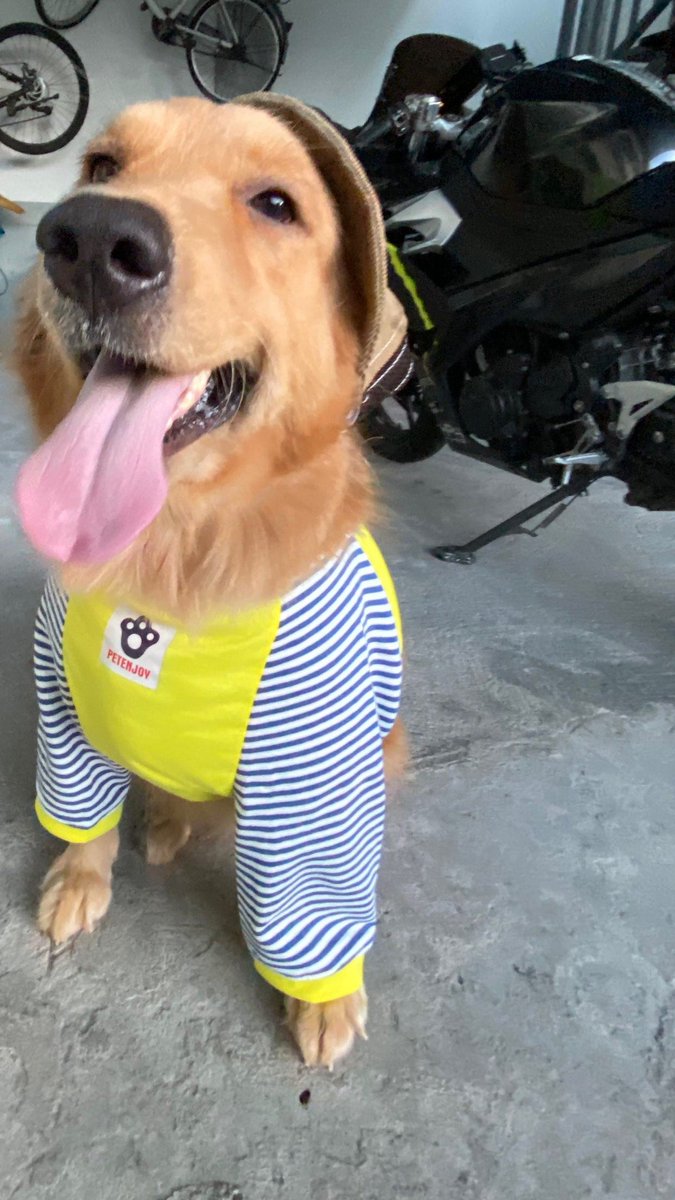 JepoBuilds's tweet image. GM Homies!

If you see $BLOCK, engage ✅
If you see $PARAM, engage ✅
If you see $TRIP, engage✅
If you see $EVERY, engage✅
If you see $BUBBLE, engage✅

I see farmers, I follow 👀

It's that simple 👍
You don't follow back &amp;amp; engage back? NGMI. 🫵