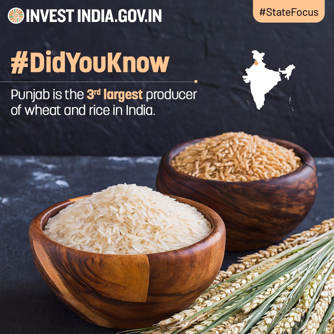 With a total cultivable area of ~4 Million Hectares, #Punjab's agriculture sector is one of the major sources of livelihood for people, strengthening India's food ecosystem. Know more: bit.ly/II-Punjab #StateFocus #InvestInIndia #DidYouKnow #Agriculture #Rice #Wheat