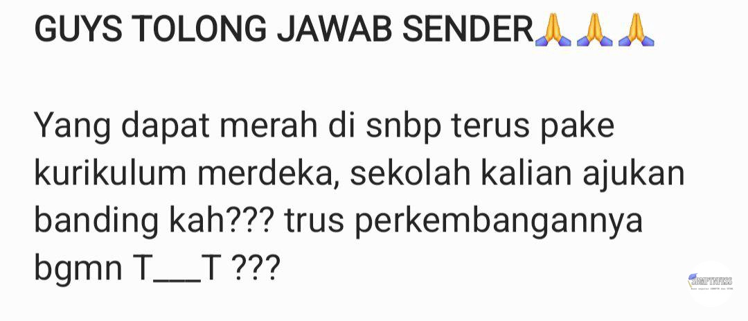 CEK PINNED! tweet media