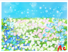 flower outdoors sky day blurry blue sky no humans  illustration images