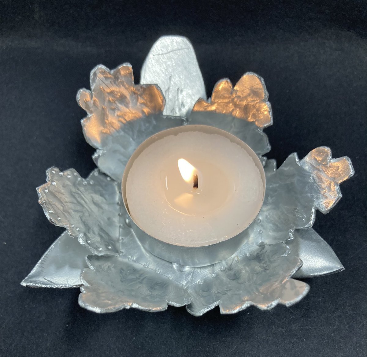 DT Dept Melksham Oak tweet media