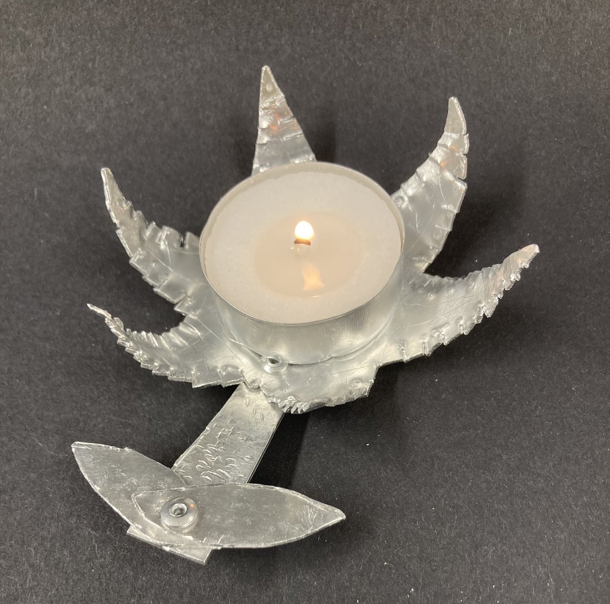 DT Dept Melksham Oak tweet media