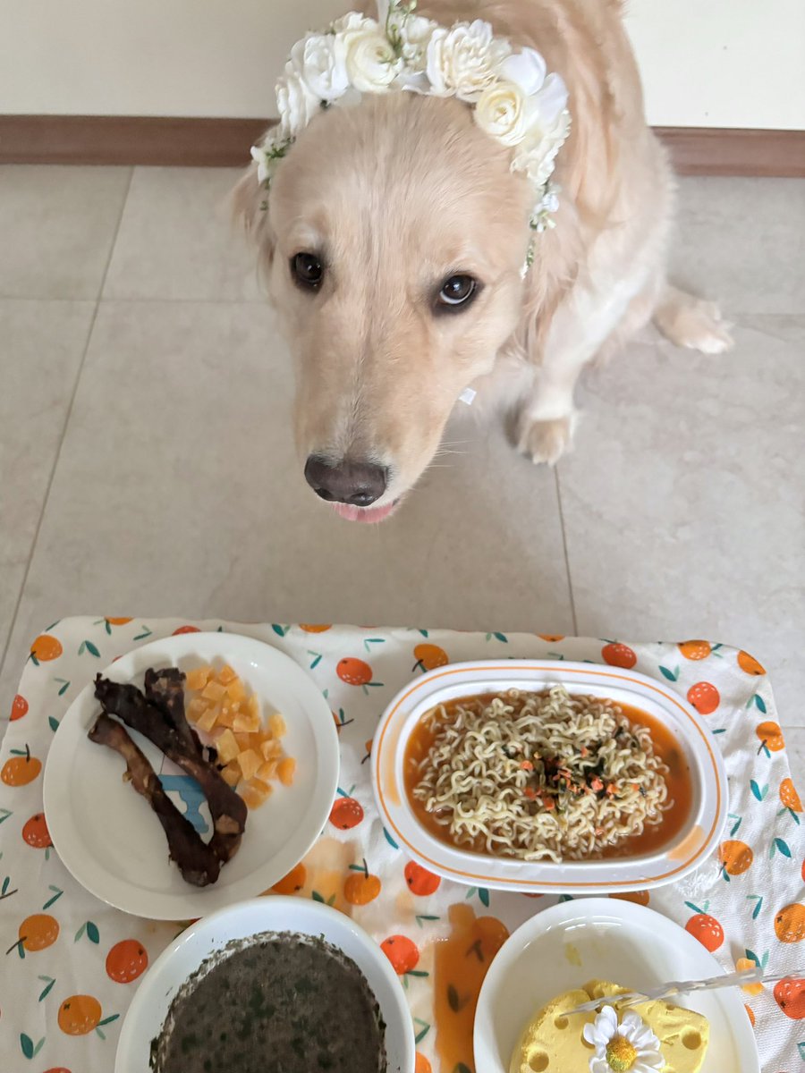 butterchive's tweet photo. 라면이랑 미역국 끓여줬는데 다 엎지른 공주...
#HAPPYBUTTERDAY
#버터야생일축하해
#0328BUTTERDAY https://t.co/BiUdRC5p9g