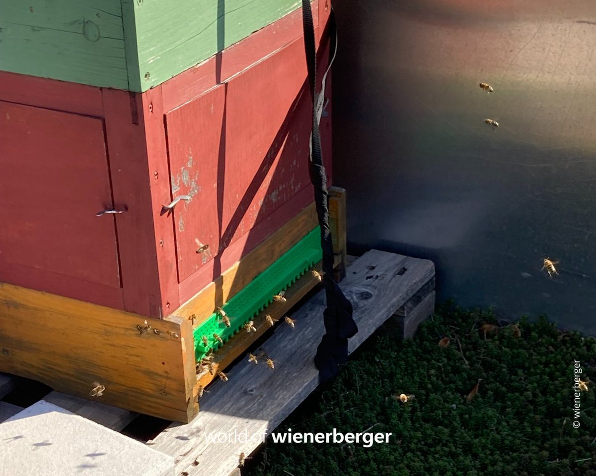 wienerberger tweet picture