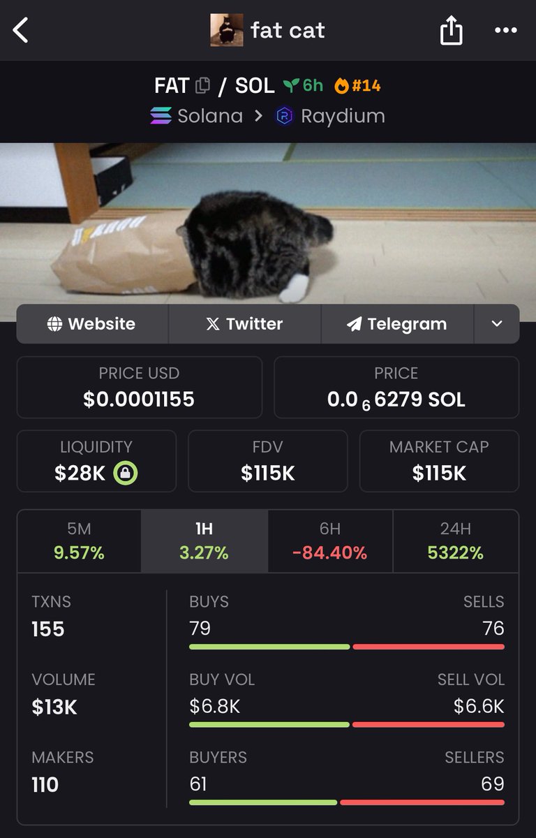 FATCATsolana's tweet photo. @theginzy @blknoiz06 The $FAT one https://t.co/h6UeHRmDlq