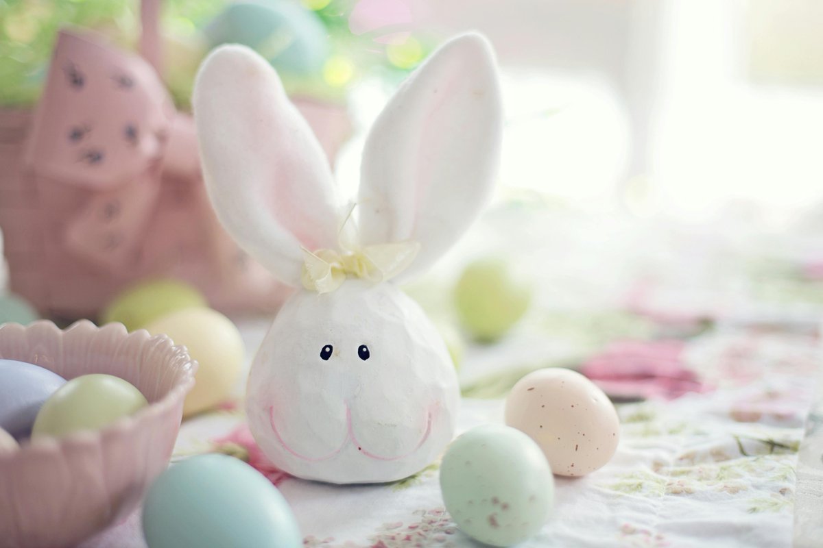 Easter Holidays have arrived! A four day weekend for our hard working candidates! Kings hope you have a lovely weekend & don't eat too many Easter Eggs🐰
#Easter #EasterEggs #EasterBunny #recruitment #EasterHolidays #tempjobs #permjobs