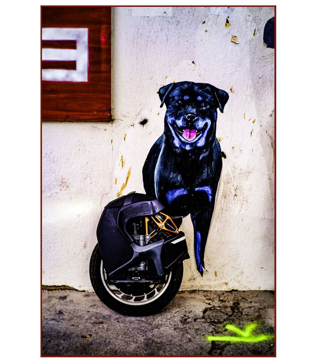 StefAlf357's tweet photo. #streetphoto #streetlife #streetstyle #streetphotography #urbanstyle #urbanlife #urbanphoto #urbanphotography #streetart #urbanart #graffitiart #graffiti #rouen #normandie #monoroue #ewheel #electricwheel #onewheel #onewheelnation #freeride #freestyle #gyroroue #eucworld #gyro https://t.co/cpbmjs1LWn