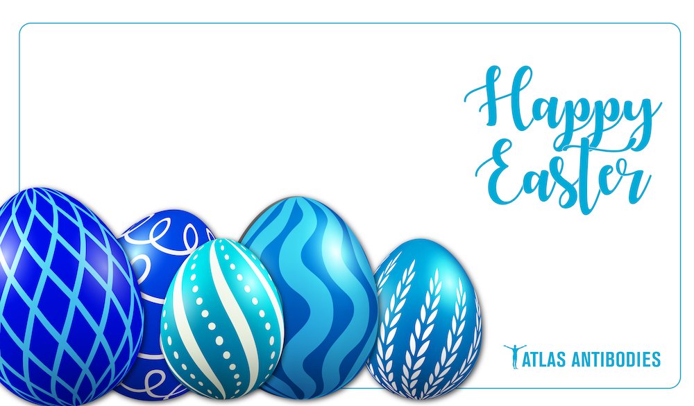 🐣 Happy Easter! 🦋 From all of us at Atlas Antibodies, have a wonderful and egg-citing Easter! atlasantibodies.com