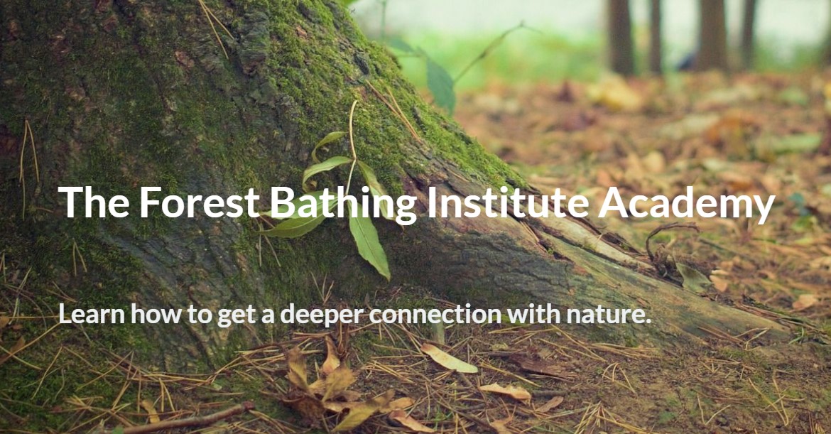 This month @TFB_Institute is launching its TFBI Academy which offers a variety of online learning to suit your own pace and timeframe. Check out the website to find out more and deepen your #natureconnection 💚 zurl.co/PTu3 #mindfulness #meditation #wellbeing