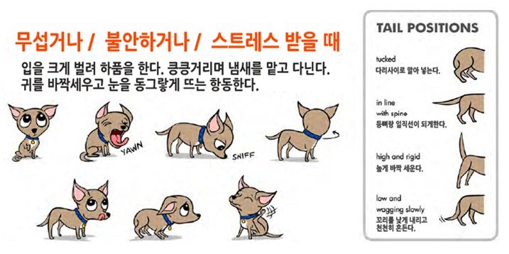 katsra0083's tweet photo. 훈육할 시에 서브특유의 
'카밍시그널'이 나온다. 

목소리가 작아짐,
말을버벅거림,머리쓸어내리기
시선회피,고개떨굼,
가짜하품,멍때리기,몸돌리기등

그 자��가 헌신이다. https://t.co/f5nhmn3XtJ
