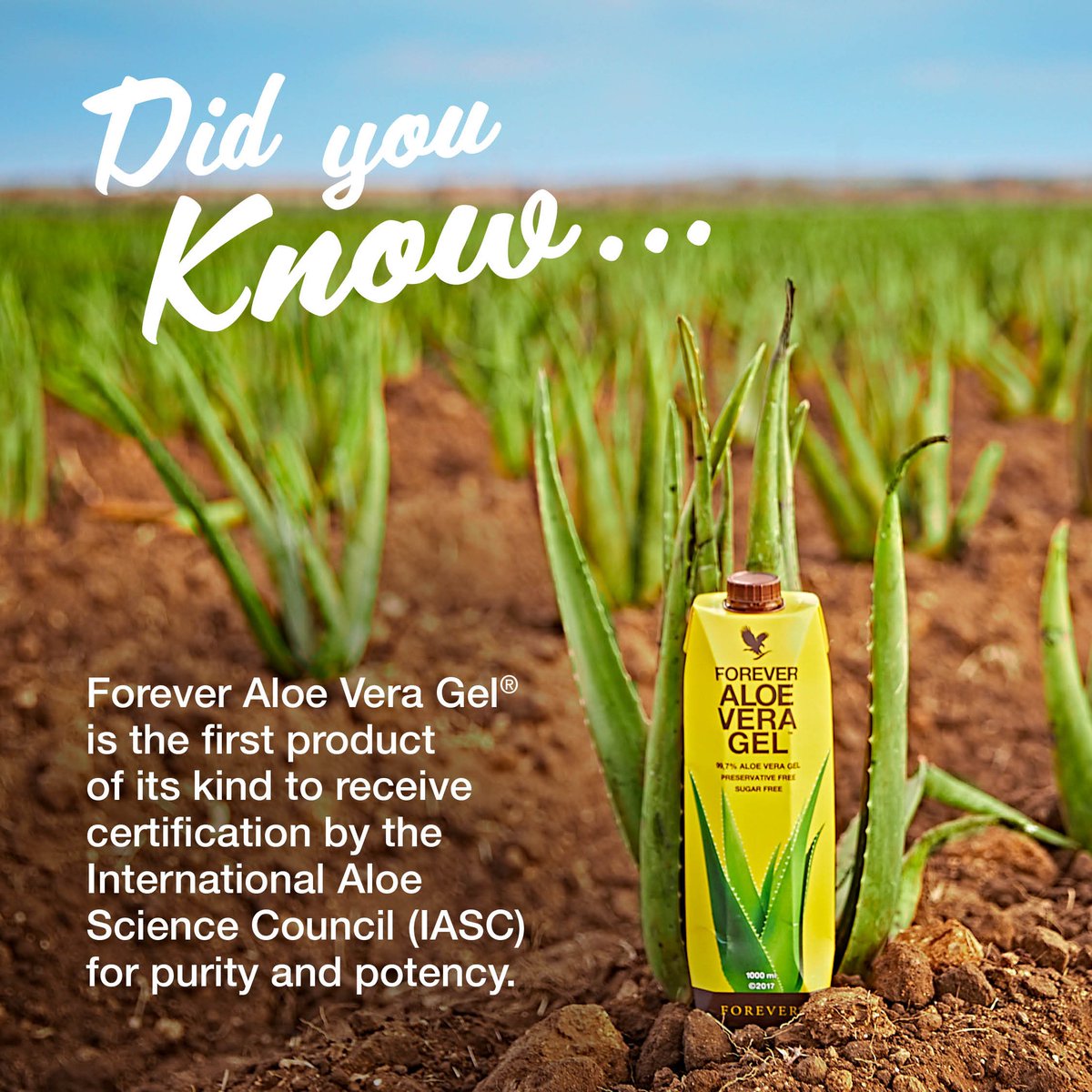 FlpSAfrica's tweet photo. Our favourite part of our aloe vera drinks is their purity! What's your favourite part?

#aloeveragel #foreverfact #facts https://t.co/VbMOpCnqJI