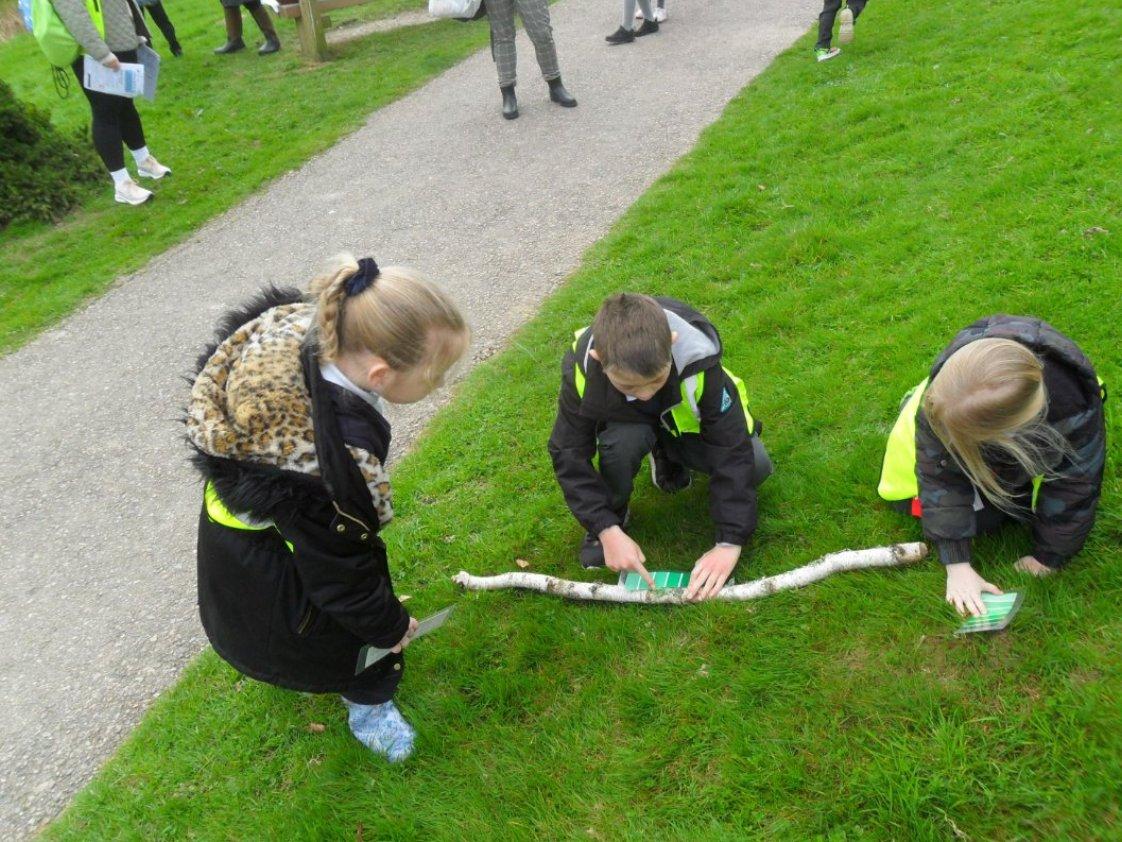St_Nicholas_CEP's tweet photo. What a day! The children had great fun using their senses in their @ForestryEngland visit exploring the #Pinetum #Bedgebury Year 1 were so lucky the rain held out until we got back onto the coach.
#OutdoorAdventures
#NewRomney https://t.co/9r75JYShjB