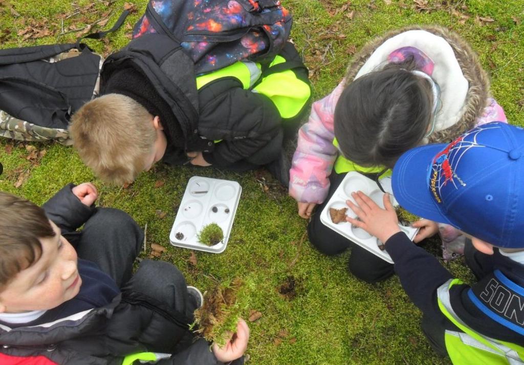 St_Nicholas_CEP's tweet photo. What a day! The children had great fun using their senses in their @ForestryEngland visit exploring the #Pinetum #Bedgebury Year 1 were so lucky the rain held out until we got back onto the coach.
#OutdoorAdventures
#NewRomney https://t.co/9r75JYShjB