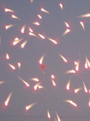 写真下手!?見てみて!!私が撮った花火!!これよりマシだから自信もて!!なっ!! 