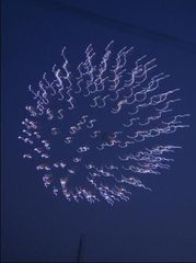 「fireworks night sky」 illustration images(Latest)