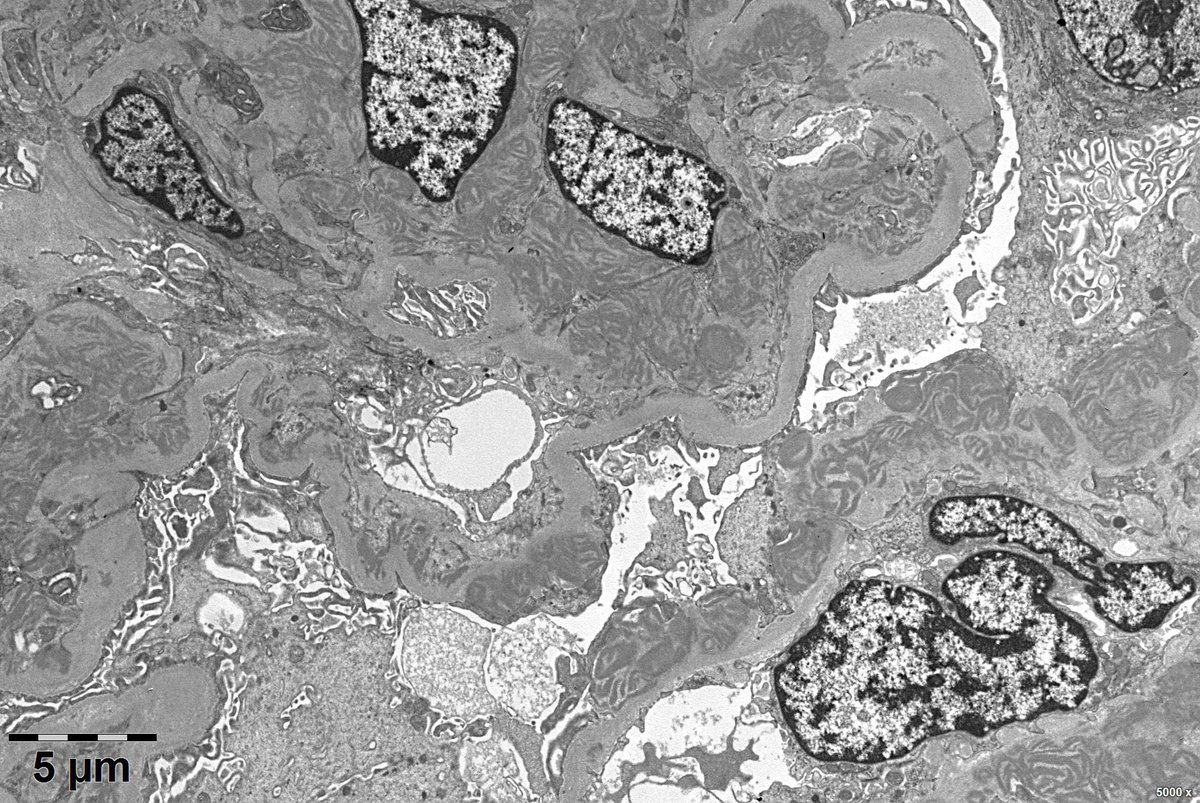 Wenyan Zhou tweet media