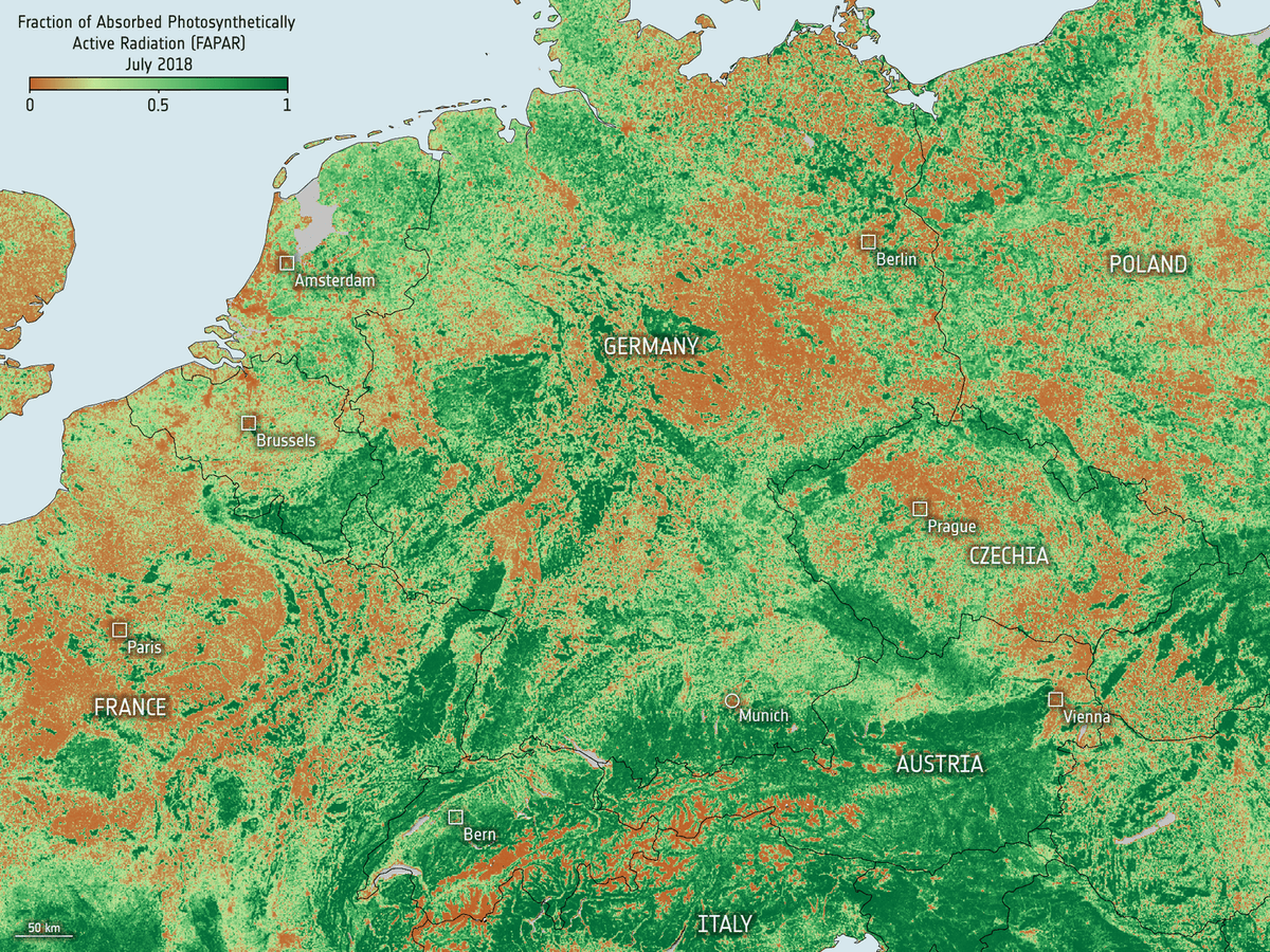 .@esaclimate released a new dataset on vegetation to respond to climate modellers’ needs. 
This new dataset comprises: 
🍃ℹ️on Leaf Area Index= amount of leaf area in the canop
🌞Fraction of Absorbed Photosynthetically Active Radiation = how much solar radiation is absorbed