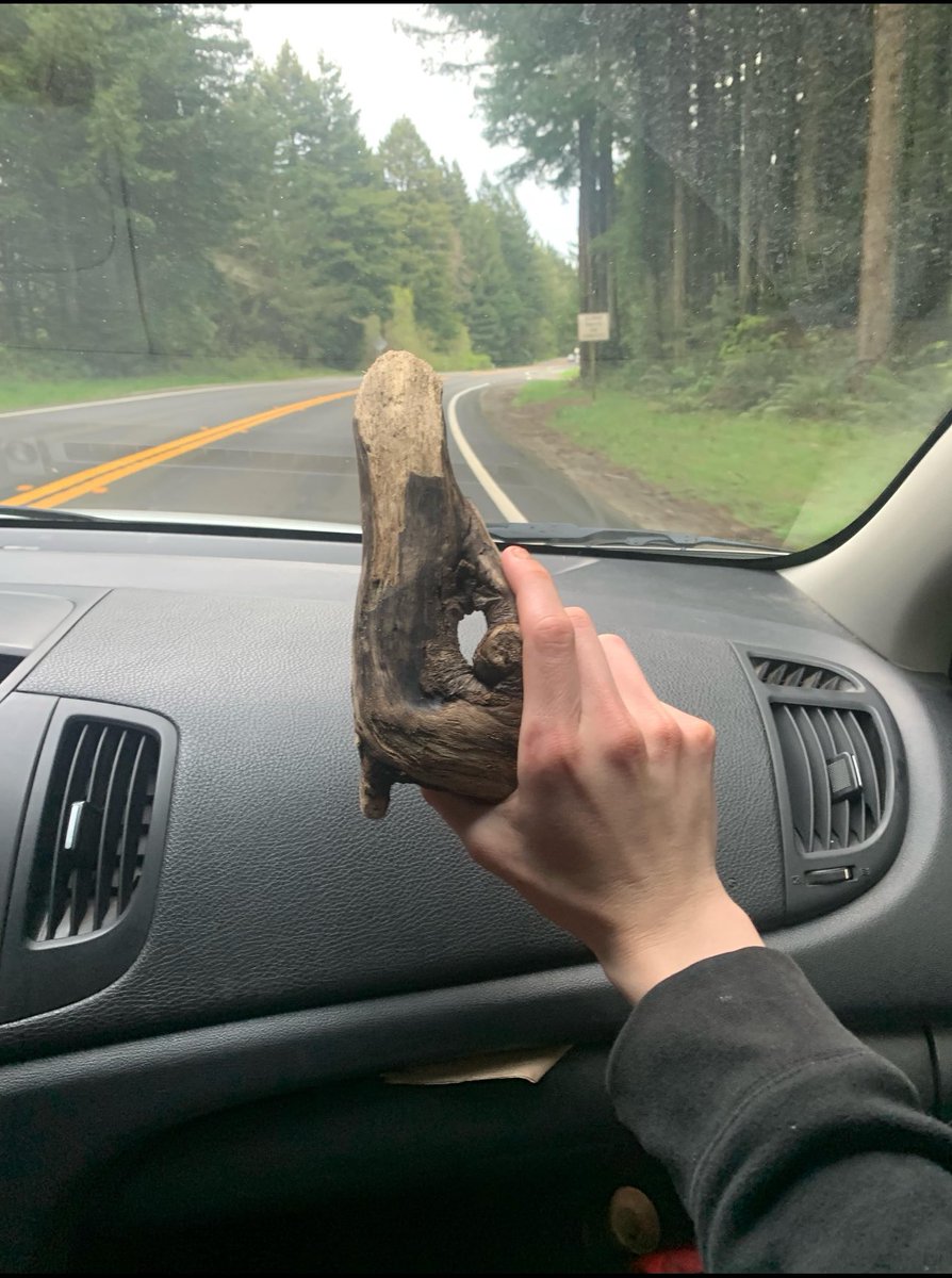 The Finals - Noticias y actualizaciones tweet media