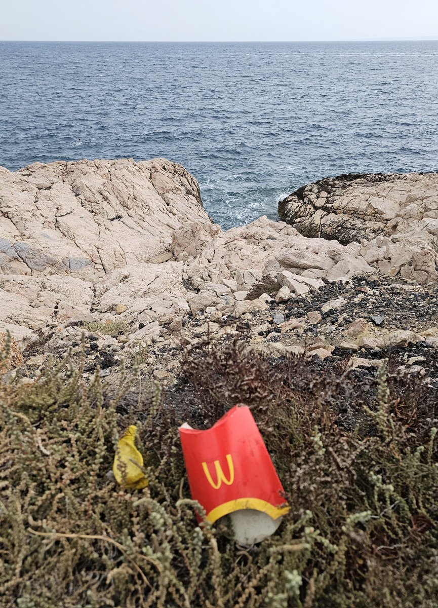 🚨 Rappelons aussi l'impact environnemental de toutes les #incivilités dans le secteur des Goudes, de Callelongue, la #calanque blanche ... Trop nombreux sont ceux qui viennent en bagnole 🚗 font la fête 🍻 et repartent en laissant tout sur place 😭

#environnement
#sickofplastic