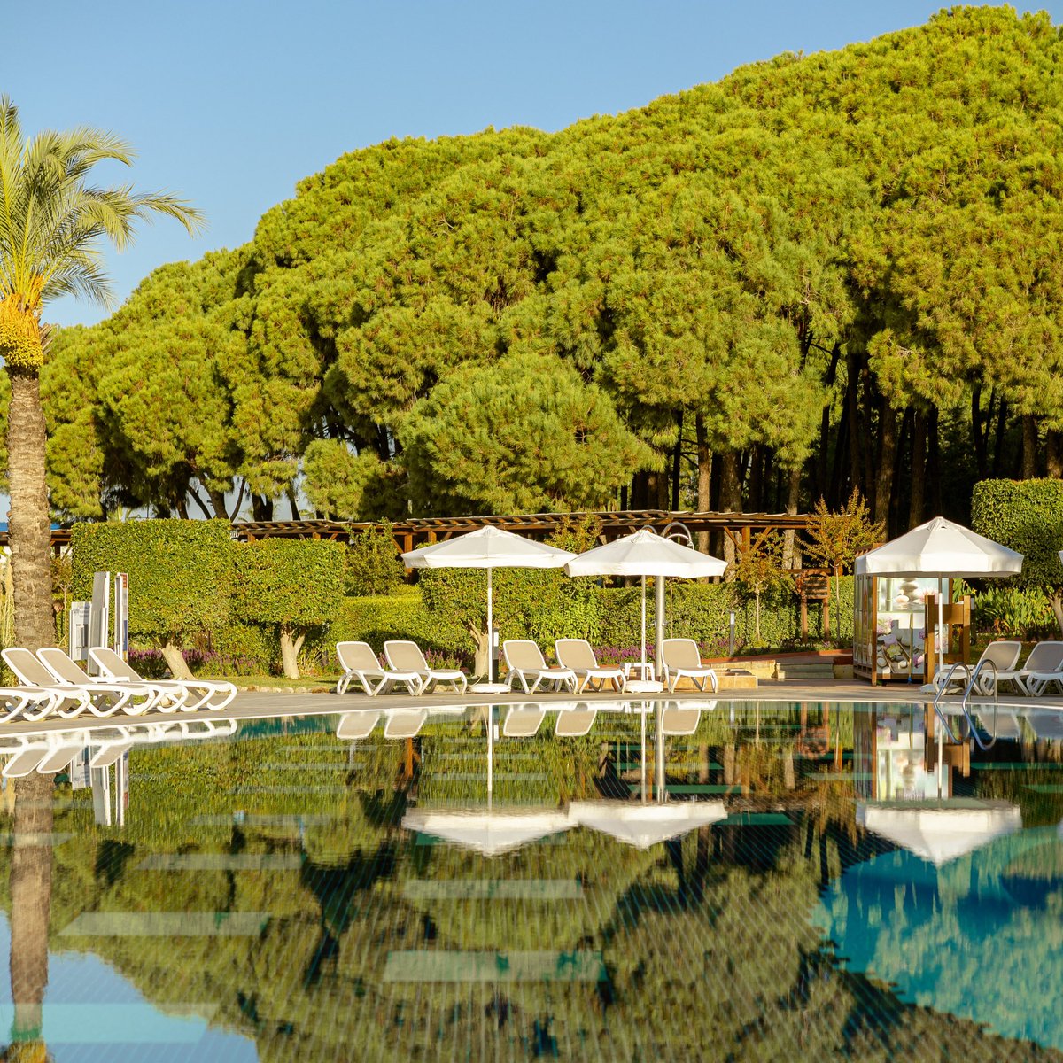 Keşfedilmeyi bekleyen, büyüleyici bir manzara...
~
A fascinating landscape waiting to be discovered...