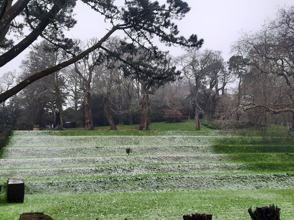 An unexpected dusting <a href="/DartingtonTrust/">Dartington Trust</a> #garden #GardeningTwitter