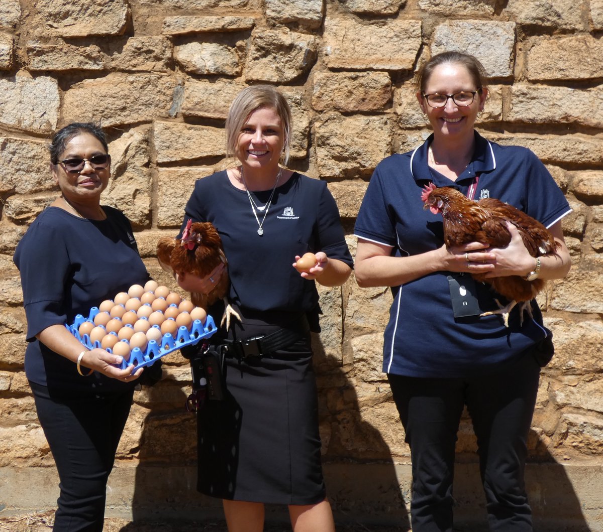 EASTER EGGS 🐣 Over Easter, our chooks at Karnet Prison Farm have been working hard. Our Finance Team has done the maths… Our hens produce a cracking 1.3 million fresh eggs a year for use in all WA’s prisons. No yolk! From our team to you, have a happy and safe Easter 🐰🍫