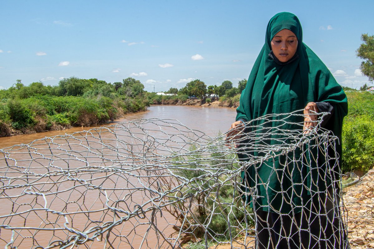 🌧️Heavy rains in Somalia between Oct-Dec 2023 affected 2.5M people, displacing 1.2M. With @USAID backing, @FAO's SWALIM initiative sends 260K early warning texts, aiding safe evacuations. Flood defense infrastructure in Beledweyne saves lives. #FloodPreparedness #SavingLives