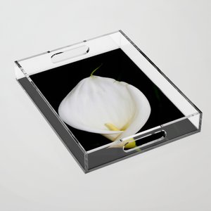 Easter White Calla Lily Isolated On Black Photography Framed #ArtPrint #taiche #society6 #callalily #macro #flowersonblack #art #flowersofx #flowers #creative #flower #floral #flowerphotography #botanicalart #floralprint #floralinspiration #printedflorals society6.com/product/calla-…