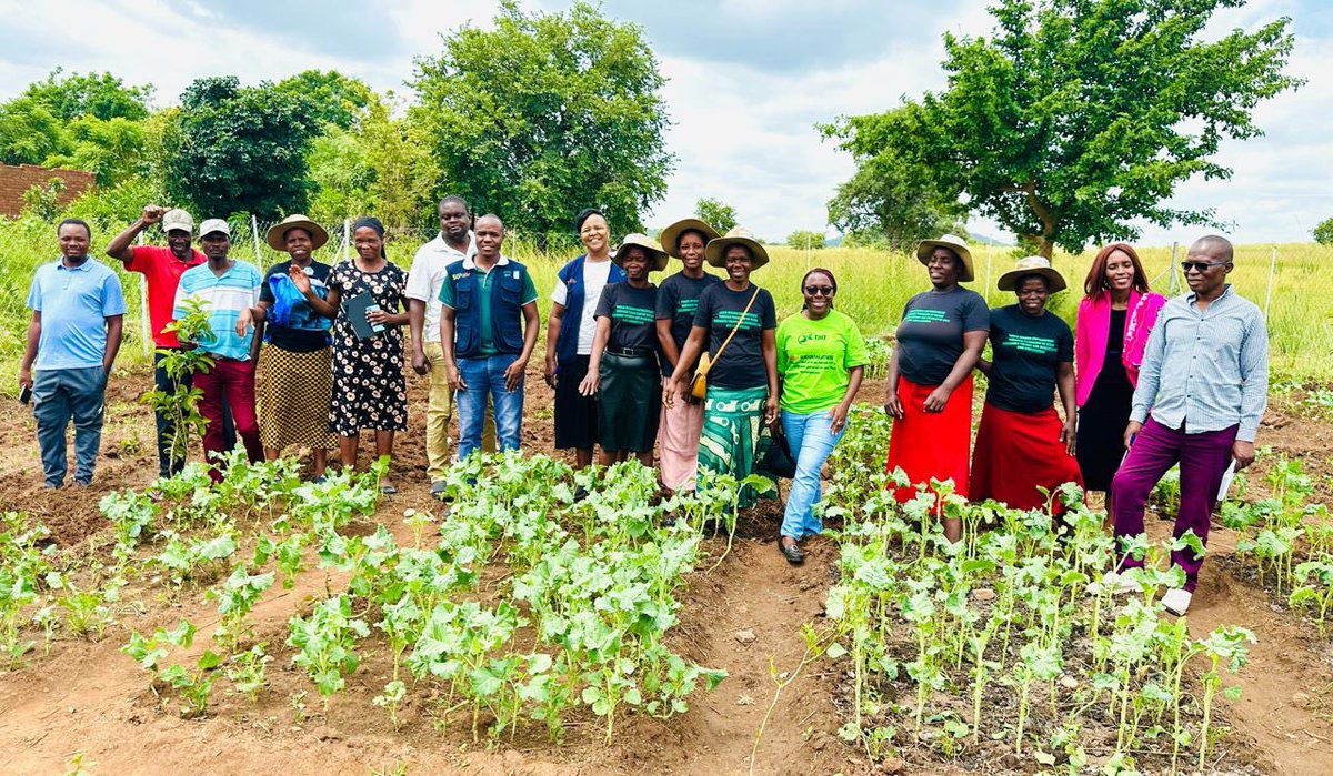 tagalife's tweet photo. The imminent threat of climate change and desertification cannot be ignored.
Through reforestation and land restoration, we can take action against climate change and its effects.
#Agenda2030
#Reforestration
#ClimateChangeAction https://t.co/lFDZkuIxFE