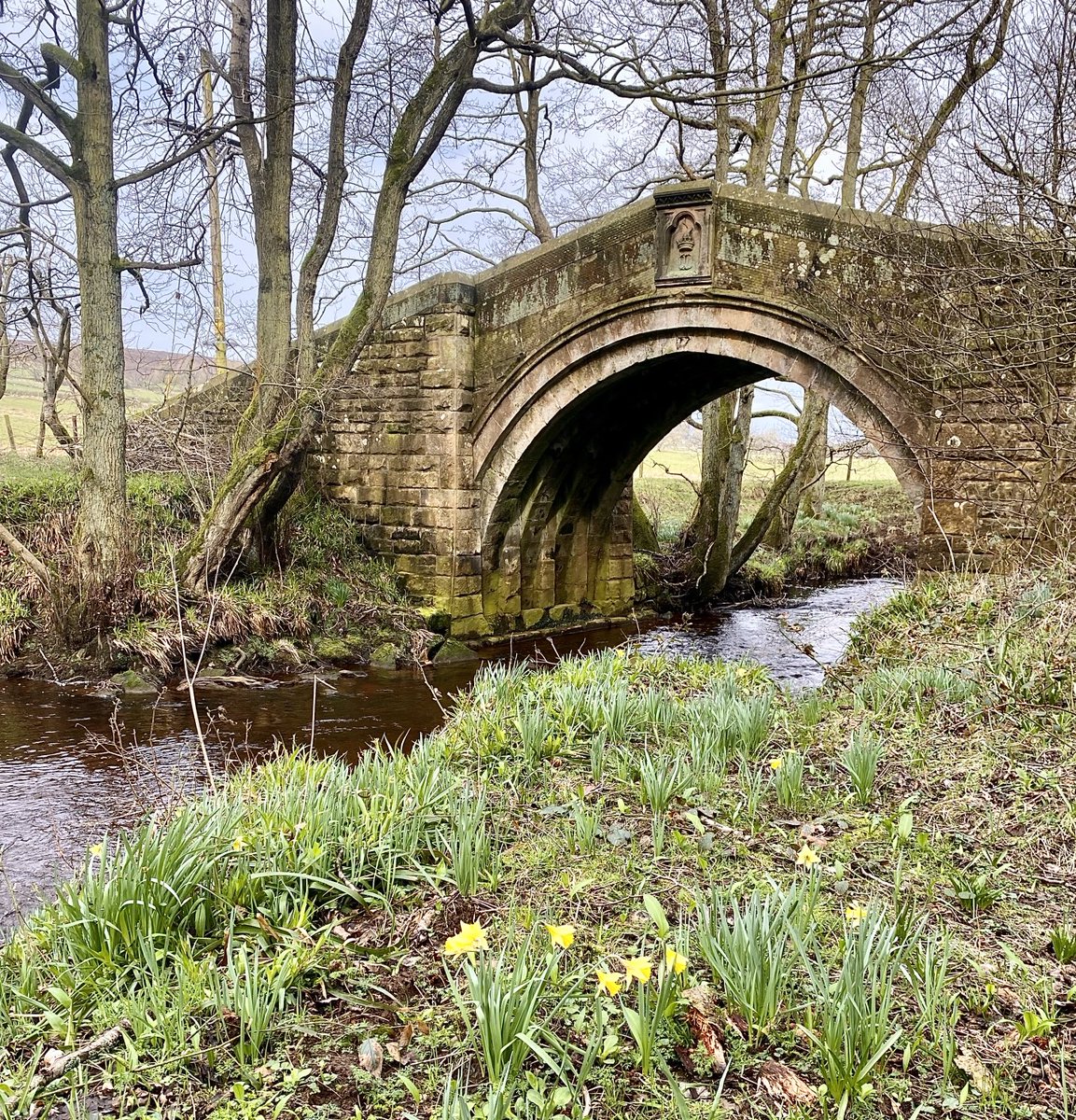 Wishing you a happy Thursday from Hunter’s Sty Bridge, North Yorkshire 😊