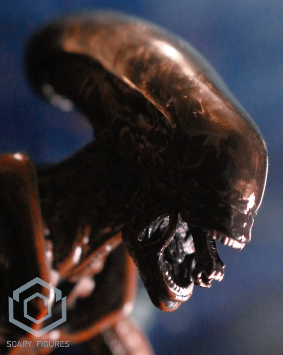 FiguresScary's tweet photo. Two mouths are better than one 

#actionfigure #actionfigures #figurephotography #horror #HorrorMovies #HorrorMovie #neca #xenomorph #aliensfireteamelite #aliensmovie #runnerxenomorph #alien3 #runneralien https://t.co/H584kmBvc7