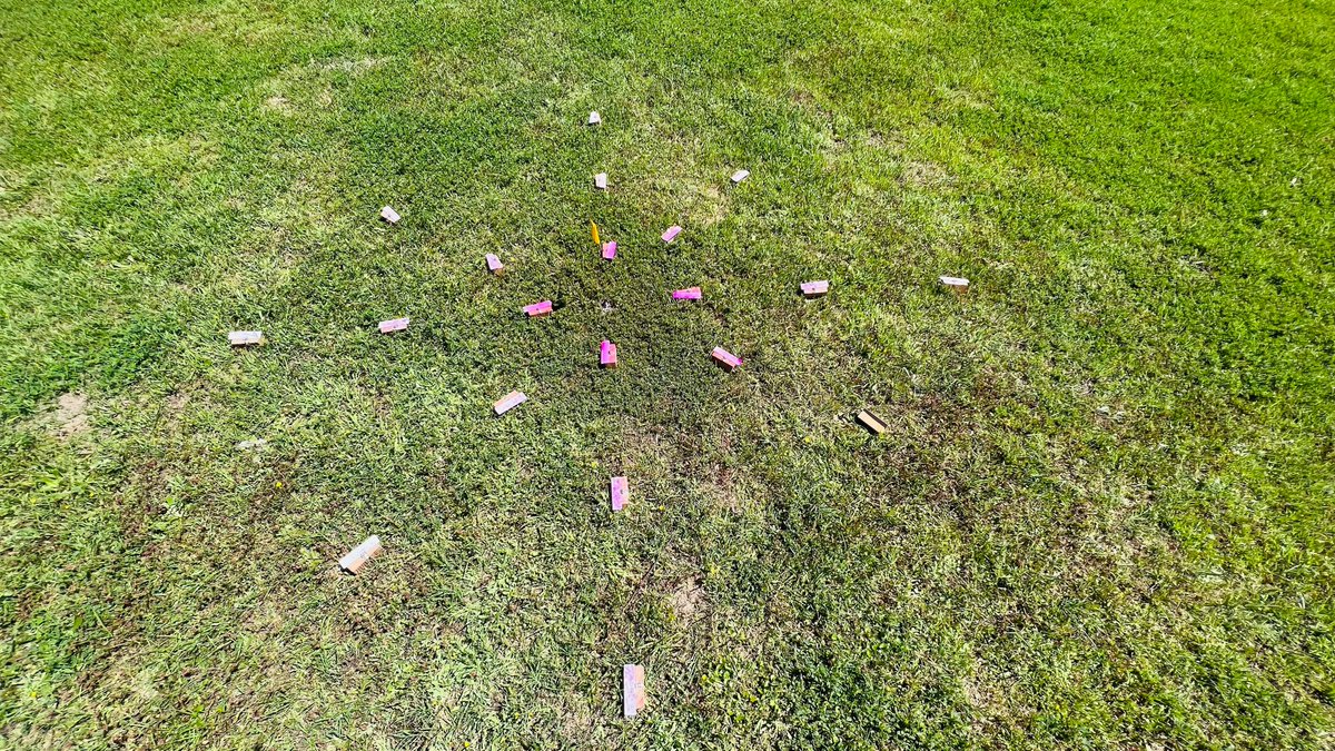 MBagavathiannan's tweet image. Our @TAMUWeedNinjas Ubaldo, Bholuram had a successful day testing spray-drone parameters for site-specific herbicide application in turf. Collaboration with @dan_martin_usda. Thanks to @PBIGordonTurf for supporting this research. @TurfBlade @StrawTurf @USDA_ARS @txresearch .