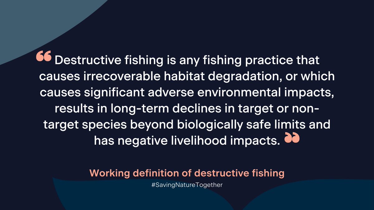 We're pleased to announce that a new working definition of #DestructiveFishing has been drafted following a rigorous consultation process. This will help to inform global policy discussions, while meaningfully supporting countries to prohibit destructive fishing practices🐟