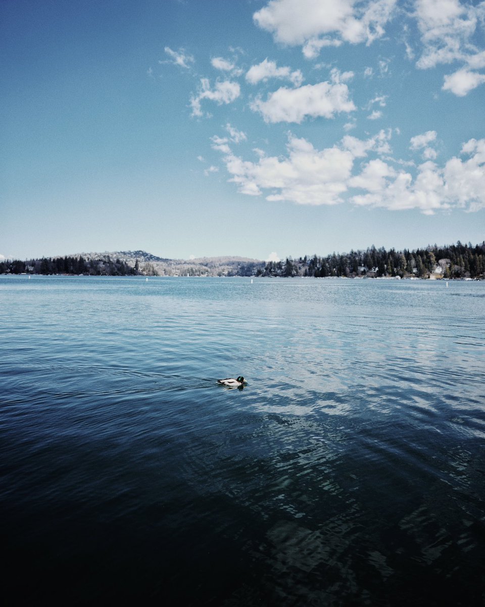 My favorite shots 📸 
from my recent trip to Lake Arrowhead