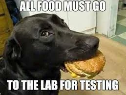 CuteDayliDose's tweet photo. Trust the lab mam 😂
#cutepets #animallove #petlife #adorableanimals #funnypets #fluffyfriends #animalvideos #cuteanimals #adorablepets #petlove #cutestanimalsever #cat #dog #animal #kitty #pet #daily #meme #love #funnyvideos #funny #fun #fluffy #animal #adorable https://t.co/dhW7nf9mQA