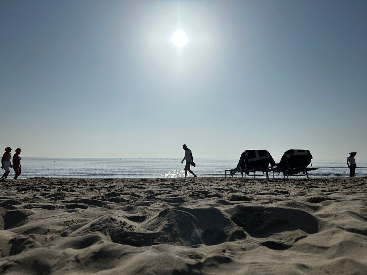 Federico Bonelli tweet media